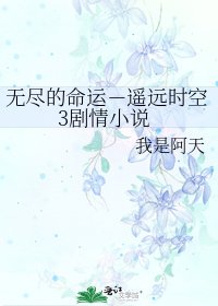 《无尽的命运-遥远时空3剧情》