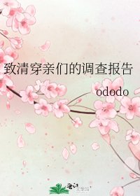 致清穿亲们的调查报告