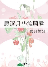 《愿逐月华流照君》