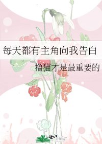 《每天都有主角向我告白》