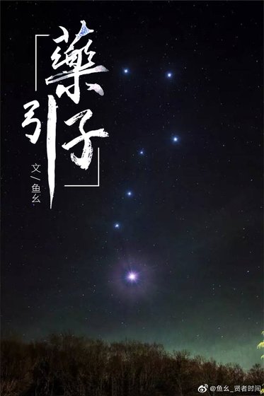 药引子