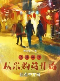 《飞扬年代:从采购员开始》