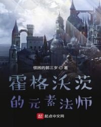 《霍格沃茨的元素法师》