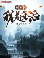 《对不起,我是反派》