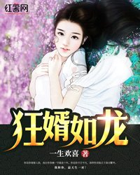 《狂婿如龙陆叶白风雪》