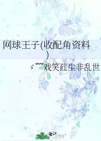 网球王子(收配角资料)