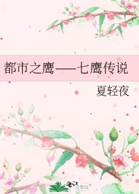 《都市之鹰——七鹰传说》