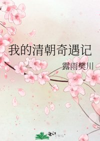 《我的清朝奇遇记》