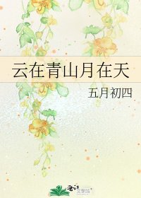 《云在青山月在天》