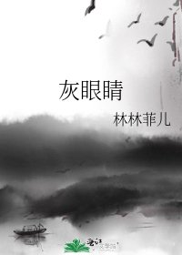 《灰眼睛》