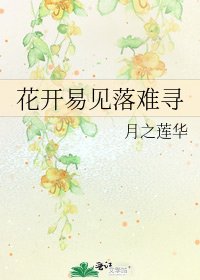 《花开易见落难寻》