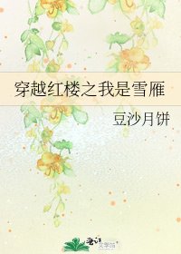 《穿越红楼之我是雪雁》
