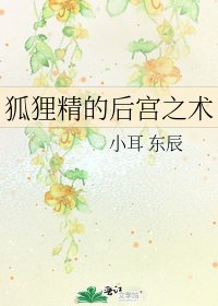 《狐狸精的后宫之术》