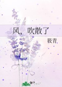 《风,吹散了》