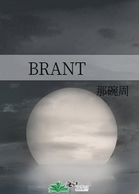 《BRANT》