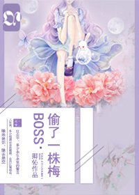 《BOSS偷了一株梅》