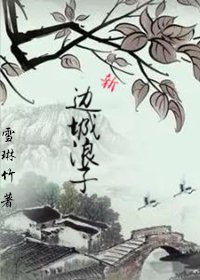 《新边城浪子之无忧情缘》