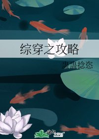 综穿之攻略