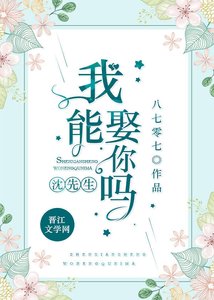 《沈先生,我能娶你吗》