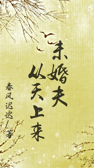 未婚夫从天上来