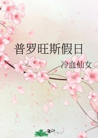 《普罗旺斯假日》