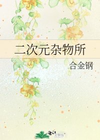 二次元杂物所