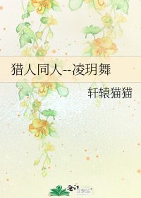 《猎人同人--凌玥舞》