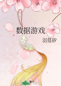 《数据游戏》