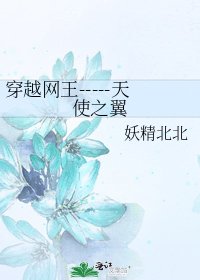 穿越网王-----天使之翼