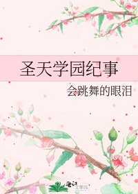 《圣天学园纪事》
