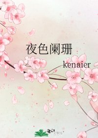 《夜色阑珊》