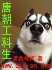 《唐朝工科生》
