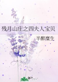 《残月山庄之四夫人宝贝》