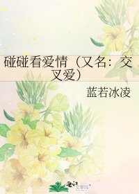 碰碰看爱情（又名：交叉爱）