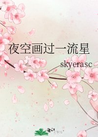 《夜空画过一流星》