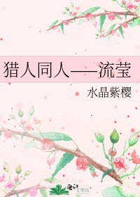 《猎人同人——流莹》