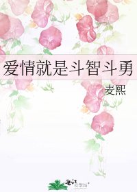 《爱情就是斗智斗勇》