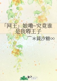 《「网王」娘嘞~究竟谁是我嘚王子》