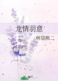 《龙情羽意》