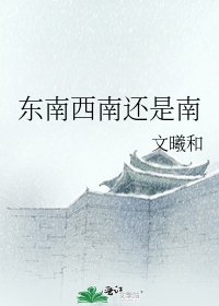 东南西南还是南