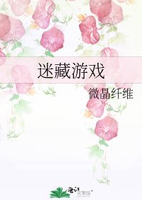 《迷藏游戏》