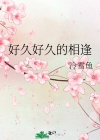 好久好久的相逢