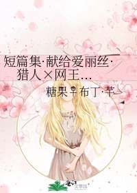 《短篇集·献给爱丽丝·猎人×网王...》