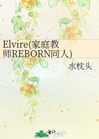 《Elvire(家庭教师REBORN同人)》