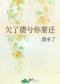 欠了债兮你要还