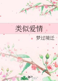 《类似爱情》