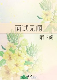 面试见闻