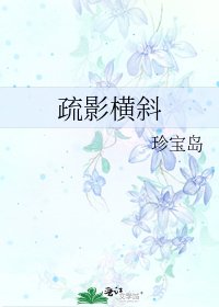 《疏影横斜》