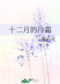 《十二月的冷霜》