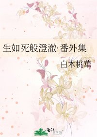 《生如死般澄澈·番外集》
